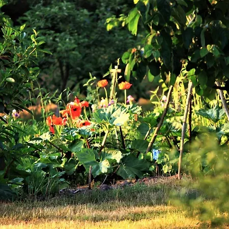 Κατάλυμα σε φάρμα Pojezierze Drawskie Greanna Ostrowice