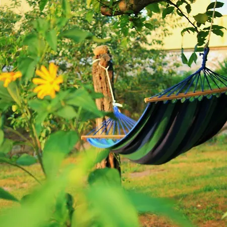 Pojezierze Drawskie Greanna Κατάλυμα σε φάρμα