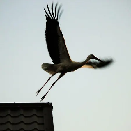 Κατάλυμα σε φάρμα Pojezierze Drawskie Greanna Ostrowice