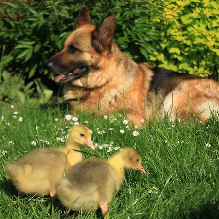 Pojezierze Drawskie Greanna