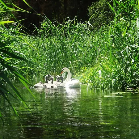 Pojezierze Drawskie Greanna Κατάλυμα σε φάρμα