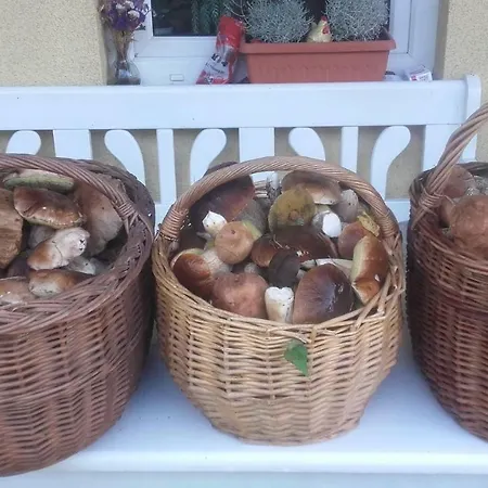 Κατάλυμα σε φάρμα Pojezierze Drawskie Greanna *