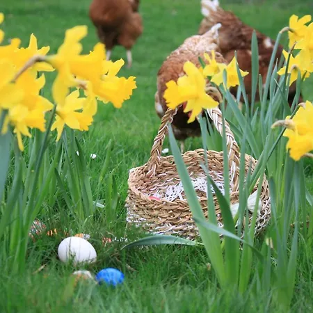 Pojezierze Drawskie Greanna