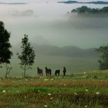 Κατάλυμα σε φάρμα Pojezierze Drawskie Greanna Ostrowice