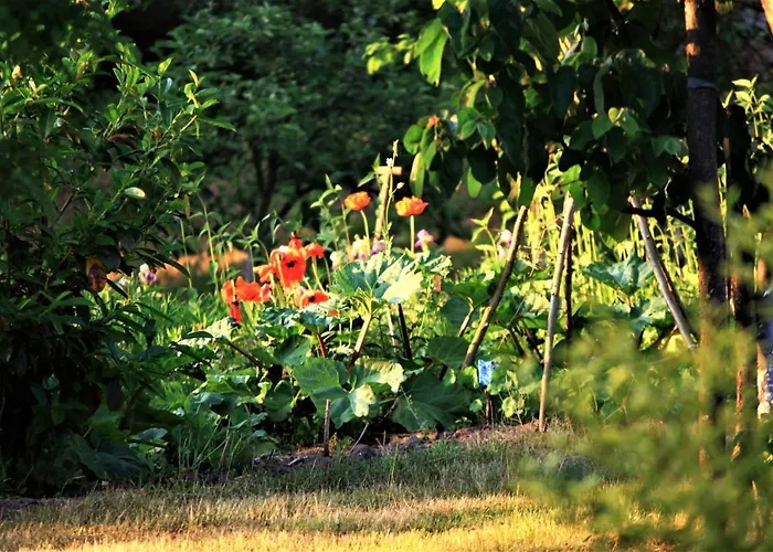 ファームステイ Pojezierze Drawskie Greanna Ostrowice