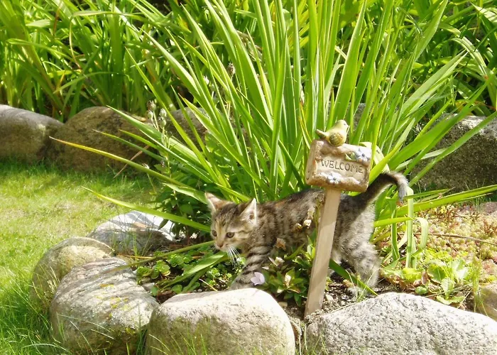 Pojezierze Drawskie Greanna ファームステイ *