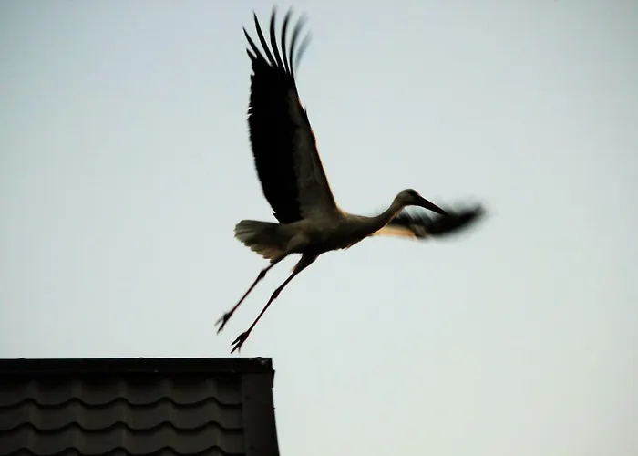 ファームステイ Pojezierze Drawskie Greanna Ostrowice