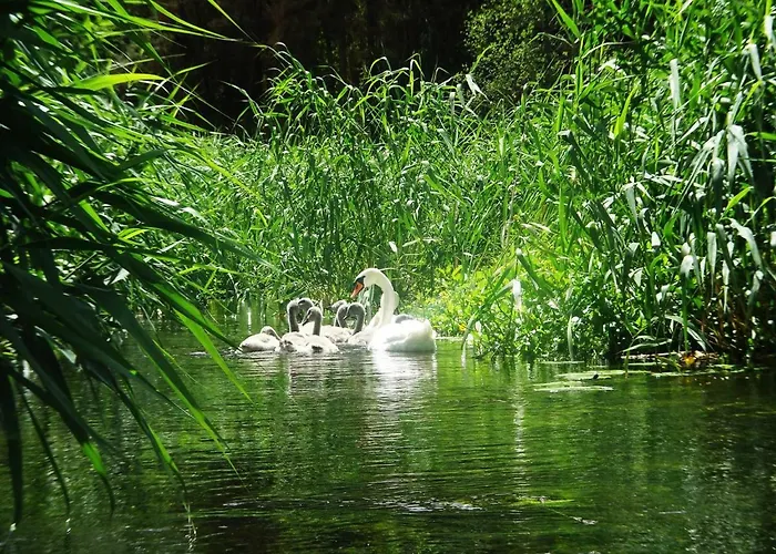 Pojezierze Drawskie Greanna Farmház