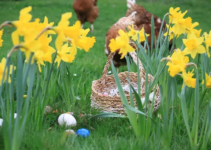 Pojezierze Drawskie Greanna